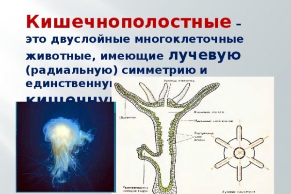 Ссылка кракен kraken014 com