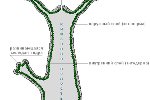 Регистрация кракен